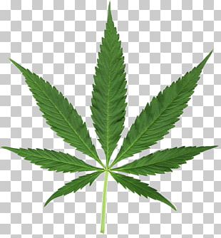 Cannabis Leaf Hashish PNG, Clipart, Black And White, Cannabis, Cannabis ...