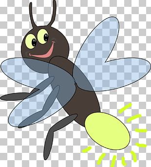 Firefly PNG