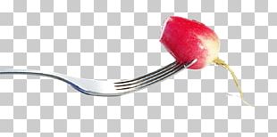 Fork Fruit U53c9 PNG