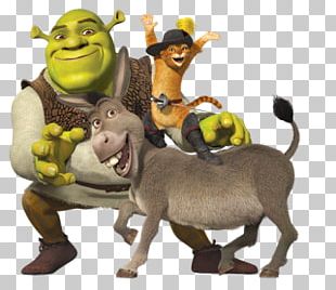 Shrek PNG - shrek  Png, Happy birthday png, Shrek