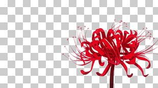 Flower Knight Girl Red Spider Lily Game PNG, Clipart, Amaryllis, Black ...