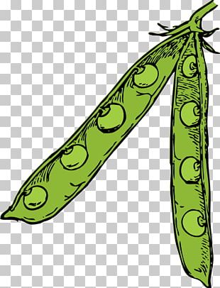 Pea Scalable Graphics PNG