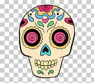 Sketch Drawing Skull Art Calavera PNG, Clipart, Anatomy, Art, Black And ...