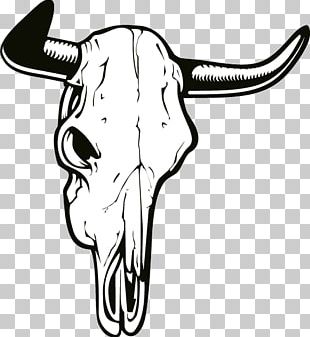 Cow Skull PNG Images, Cow Skull Clipart Free Download