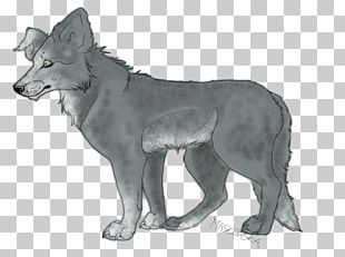 Gray Wolf Coyote Tattoo Flash Jackal PNG, Clipart, Bed, Black And White ...