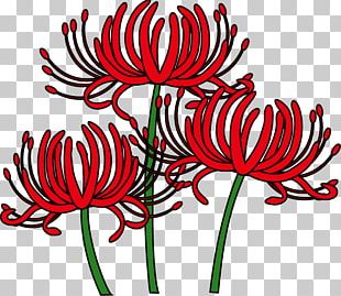 Red Spider Lily Tokyo Ghoul Flower Rat Png Clipart Botany Cartoon Chrysanthemum Chrysanths Computer Wallpaper Free Png Download