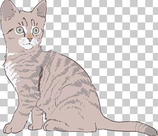 Kitten Whiskers Cat Drawing PNG, Clipart, Animals, Carnivoran, Cartoon