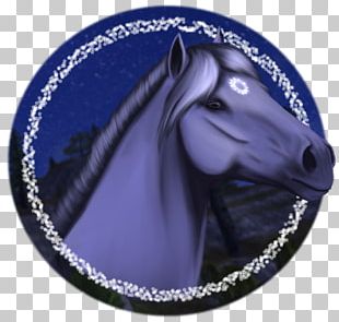 Horse Star Stable Drawing PNG