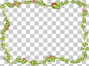 Vine Ivy Plant PNG, Clipart, Branch, Computer Icons, Desktop Wallpaper ...