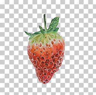 Painting Red Amorodo Accessory Fruit Computer File PNG