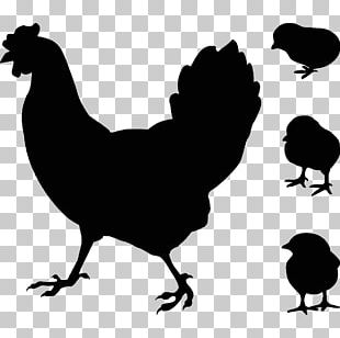 Rooster Chicken As Food Hen Coucou De Rennes PNG