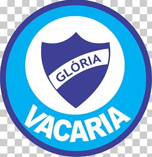 Vacaria GrÃªmio Esportivo GlÃ³ria Campeonato GaÃºcho DivisÃ£o De Acesso Sociedade Esportiva Recreativa E Cultural Brasil Esporte Clube Passo Fundo PNG