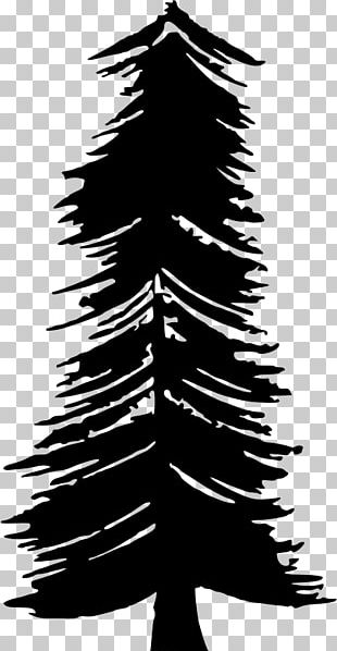 Christmas Tree Desktop PNG