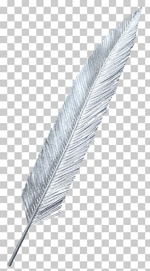 White Feather Euclidean PNG, Clipart, Animals, Beautiful Feathers ...