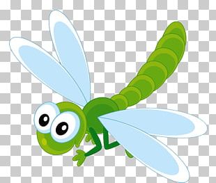 Butterfly Cartoon Insect Drawing PNG, Clipart, Animated Film, Art ...