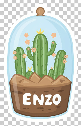Terrarium - Cactus In A Pot PNG
