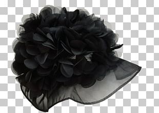 women hat png