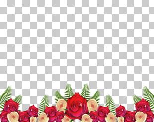 Frames Flower Desktop Molding PNG