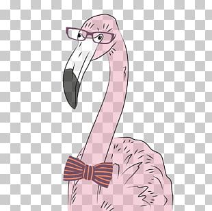 Pink flamingos png images