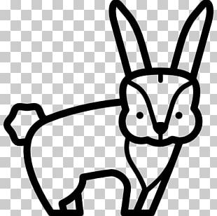Whiskers Domestic Rabbit Cat Hare PNG