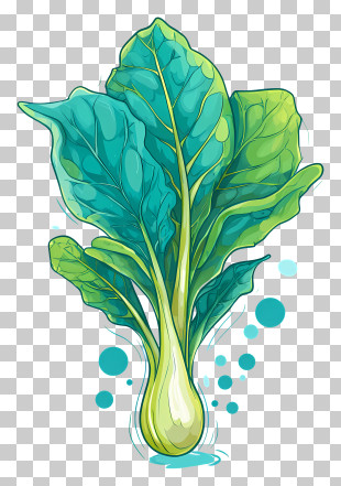 Chard - Leafy Vegetable Illustration PNG