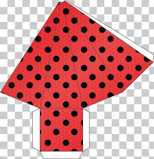 Cone Ladybird SAMG Animation Pyramid Method Animation PNG