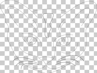 Whiskers Line Art Sketch PNG