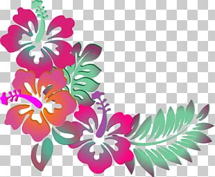 Hawaiian Flower Png, Clipart, Artwork, Blog, Cut Flowers, Drawing 