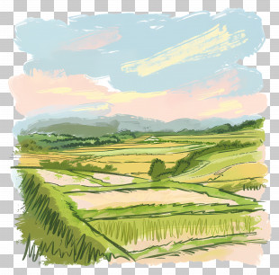 Green Fields - Green Fields And Sky PNG