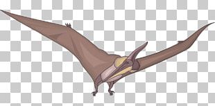 Nyctosaurus Pterodactyloidea Ornithocheiroidea Dinosaur Pteranodon PNG,  Clipart, Accord, Antler, Austriadactylus, Dinosaur, Fantasy Free PNG  Download