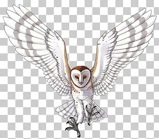 Owl Drawing Tattoo PNG, Clipart, Animal, Animals, Area, Art, Barn Owl ...