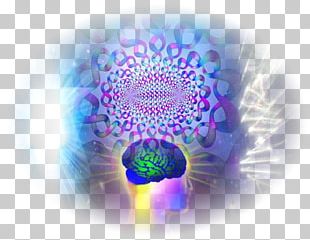 Consciousness Chokhmah Tree Of Life Binah Human Brain PNG