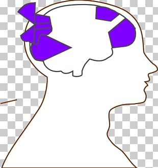 head and brain outline