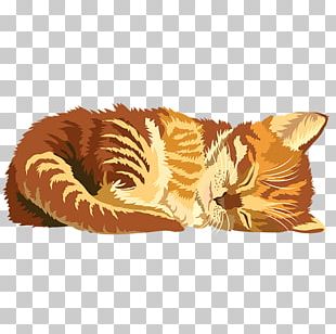 Tiger Kitten Cat Cuteness AppAdvice.com PNG
