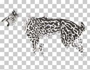 Cheetah Leopard Tiger Jaguar PNG, Clipart, Animal, Animals, Art, Big ...