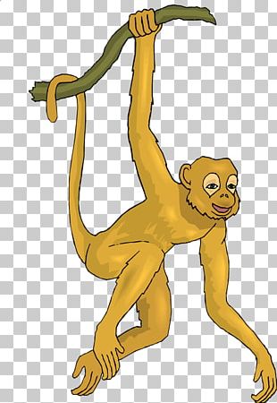 Spider-monkey - Macaco Aranha Homem Aranha PNG Image