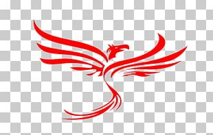 Physical Fitness Personal Trainer Strength Training Fitness Centre PNG