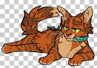 Kitten Whiskers Cat Warriors Paw PNG