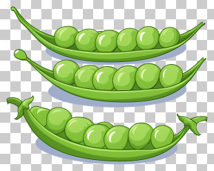 Based On The Description - Green Peas In Pod Illustration PNG