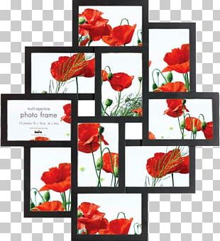 Frames Chair Mat PNG