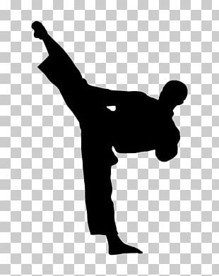 Karate Martial Arts Sport Taekwondo Silhouette PNG, Clipart, Angle, Arm ...