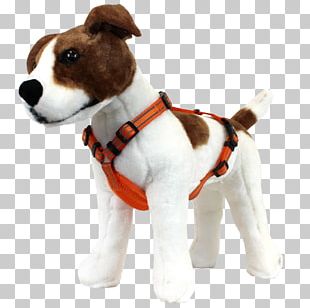 Jack Russell Terrier Dog Breed Dog Harness Puppy Companion Dog PNG