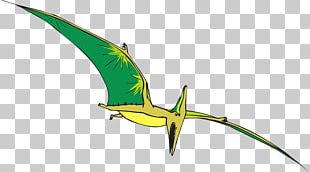 Nyctosaurus Pterodactyloidea Ornithocheiroidea Dinosaur Pteranodon PNG,  Clipart, Accord, Antler, Austriadactylus, Dinosaur, Fantasy Free PNG  Download