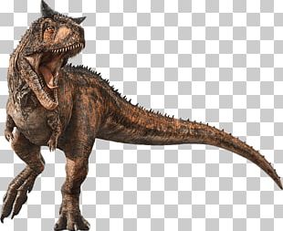 Tyrannosaurus Rex Baryonyx Dinosaur PNG, Clipart, 123rf, Banco De ...