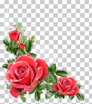 Flower PNG, Clipart, Flower Free PNG Download