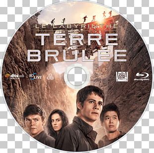 Dylan O\'Brien The Maze Runner The Scorch Trials Thomas, o transparent  background PNG clipart