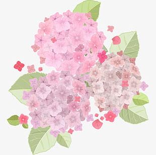 light pink flowers png images light pink flowers clipart free download