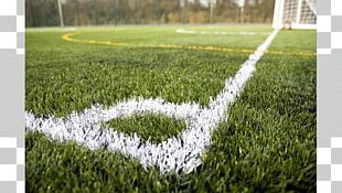 Artificial Turf Football Pitch Lawn Keynsham Town F.C. PNG
