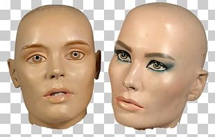 Hair Loss Head Kaalheid Model PNG