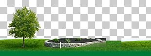 Tree Lawn Green Interdev PNG